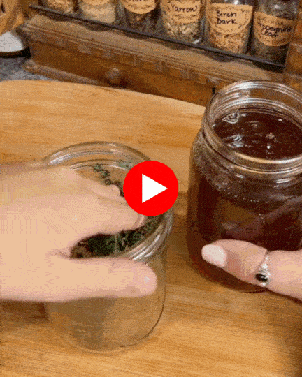 Honey and Bacopa formula visual